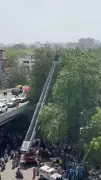 Youth climbs tree near Ahmedabad flyover, triggers tense rescue operation