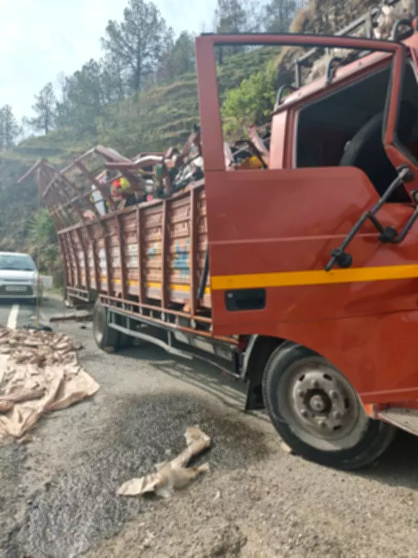 1 dead, 18 hurt as truck with band party falls into gorge in Shimla's Theog