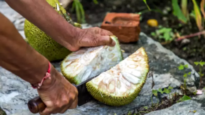 10 Regional Jackfruit Dishes from Around the World and Why It Is Celebrated So Much