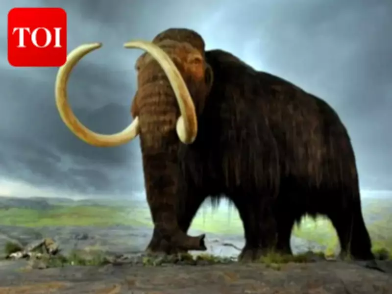 16,000-Year-Old Mammoth Skeleton Unearthed During NIF Construction in 1997