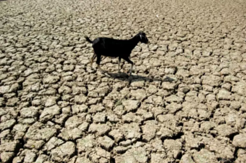 181 Maharashtra Blocks Highly Vulnerable to Low Rainfall, Report Warns of Farming Distress