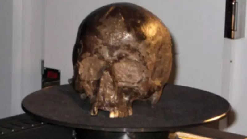 2,600-Year-Old Human Brain Discovered in Iron Age Skull Near York