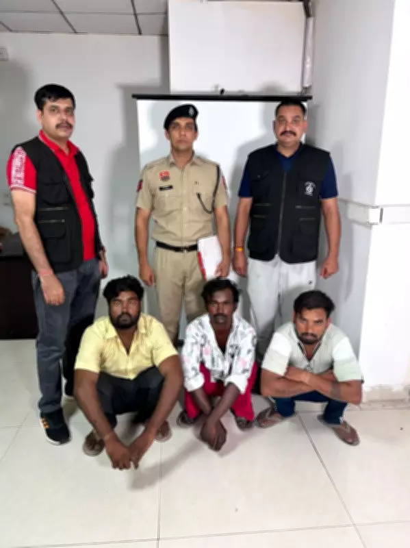 3 held for stealing from two Gurugram temples in one night; cash, CNG auto recovered