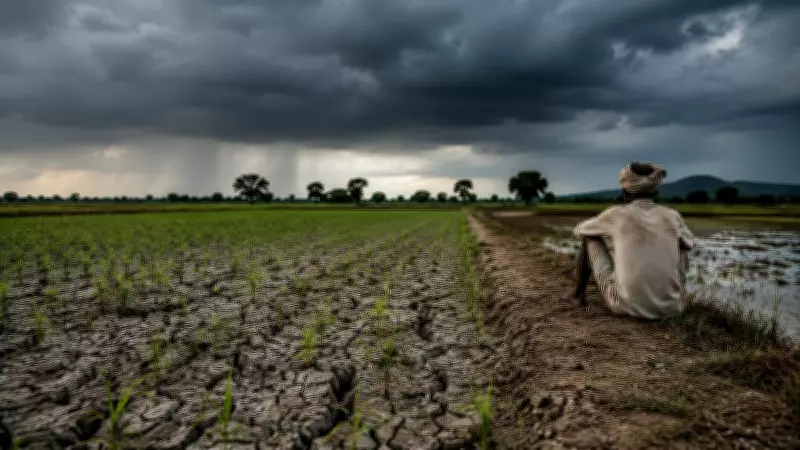 43% Monsoon Deficit Threatens Kharif Sowing in 111 Districts