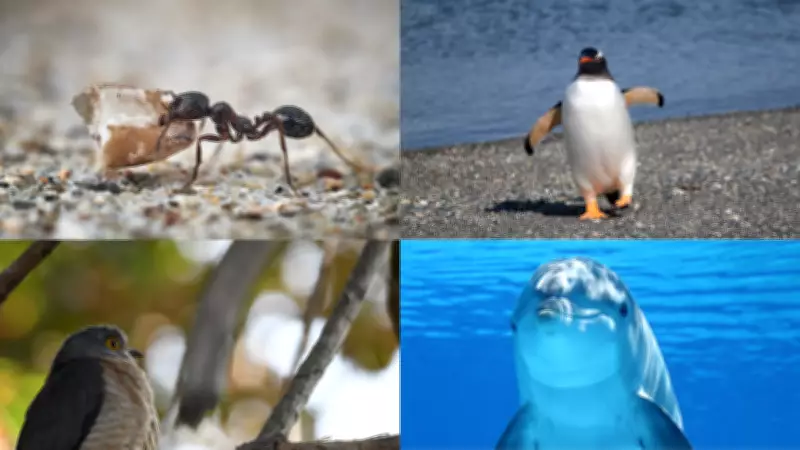 5 Animals That Kidnap Offspring: From Slave-Making Ants to Cuckoos