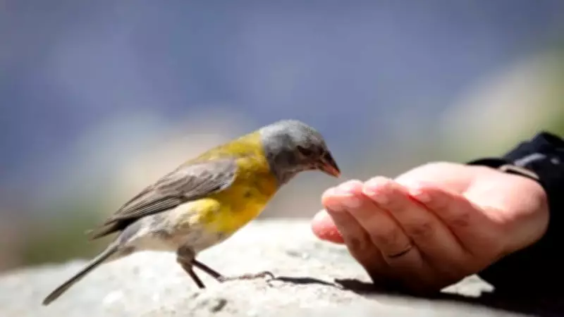 5 Daily Sacred Rituals to Enhance Your Good Luck and Prosperity