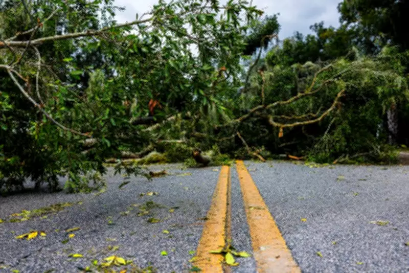 5 Family Members Killed as Tree Falls on House During Storm in Bihar's Sitamarhi