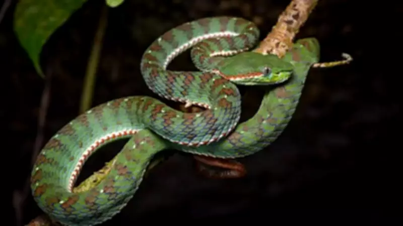 5 Snake-Filled Waters in Rhode Island You Should Know About