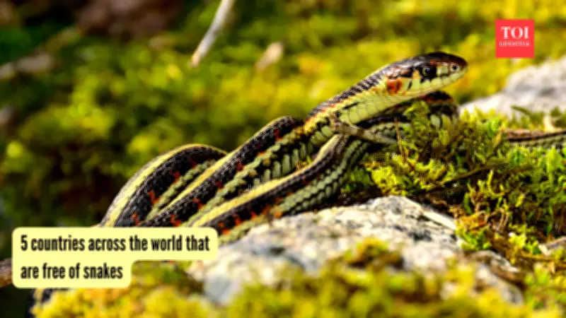 5 Snake-Free Countries Around the World That Will Surprise You