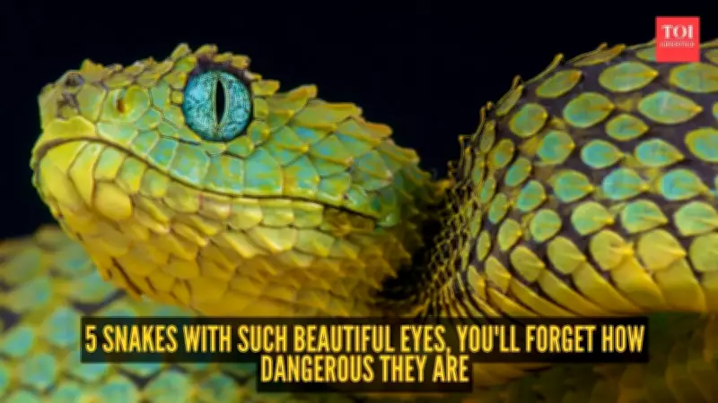 5 Snakes with Stunning Eyes That Will Change How You See Them