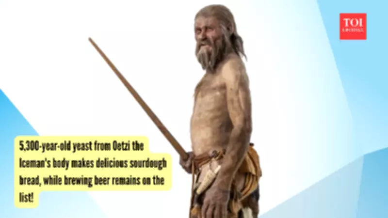 5,300-Year-Old Yeast From Ötzi the Iceman Used to Bake Sourdough