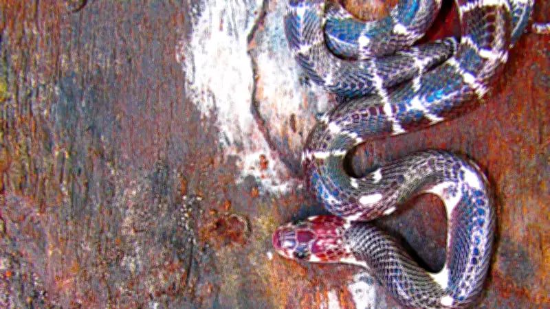 6 Deadliest Himalayan Snakes You Never Knew Existed: Hidden Venom in the Mountains