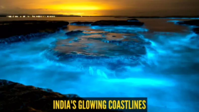 6 Magical Places in India to Witness Bioluminescent Waters