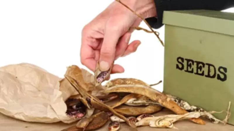 6 Simple Tips to Store Plant Seeds Carefully for Long-Term Viability