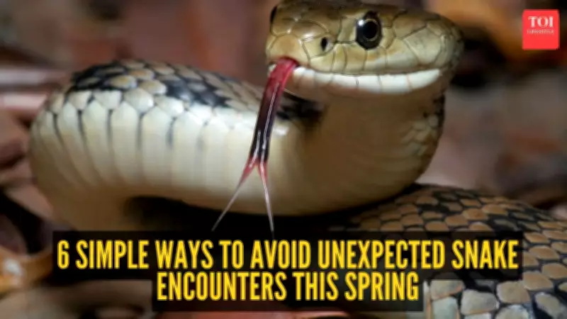 6 Simple Ways to Avoid Unexpected Snake Encounters This Spring