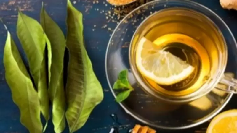 6 Smart Ways to Reuse Mango Leaves at Home Instead of Throwing Them Away