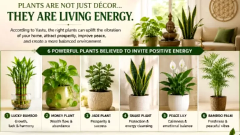 6 Vastu-Approved Plants to Bring Positive Energy to Your Home