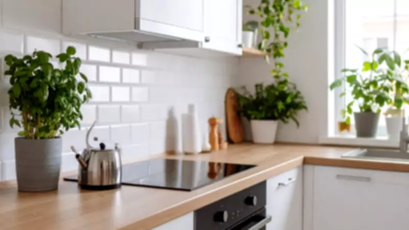 7 Best Low-Maintenance Plants for Kitchen Counters and Windowsills