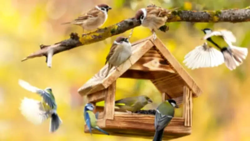 7 Essential Garden Tips to Attract Birds and Boost Ecosystem Health