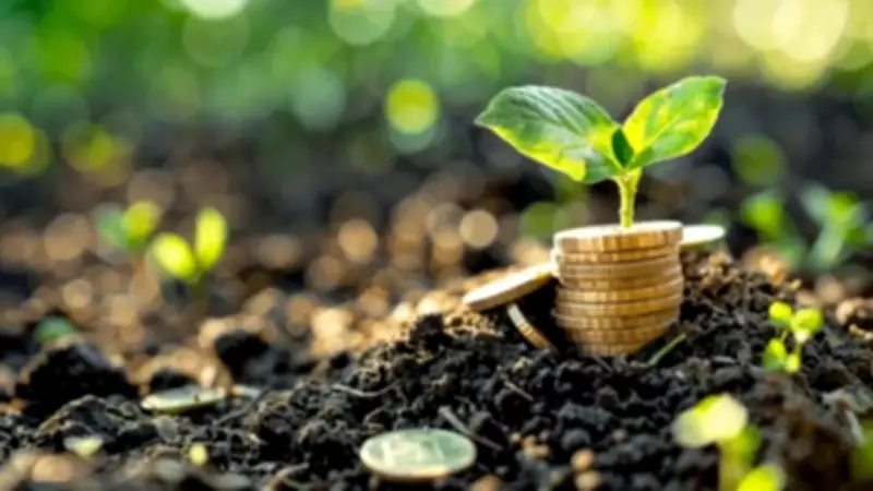 7 Expert Tips to Make Your Money Plant Grow Faster and Healthier
