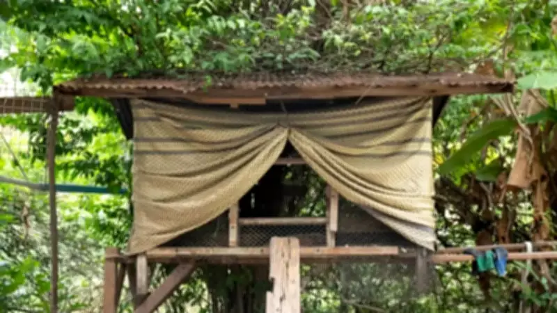 7 Humane Ways to Stop Birds from Pooping on Your Patio