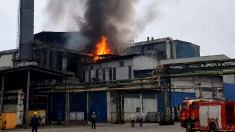 7 Killed in Fire at Illegal Firecracker Godown in Jaipur