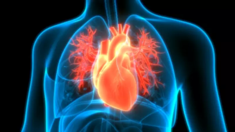 7-Second X-Ray Can Accurately Detect Heart Problems: Japanese Study