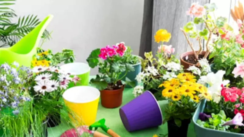 7 Surprising Gardening Truths No One Tells Beginners