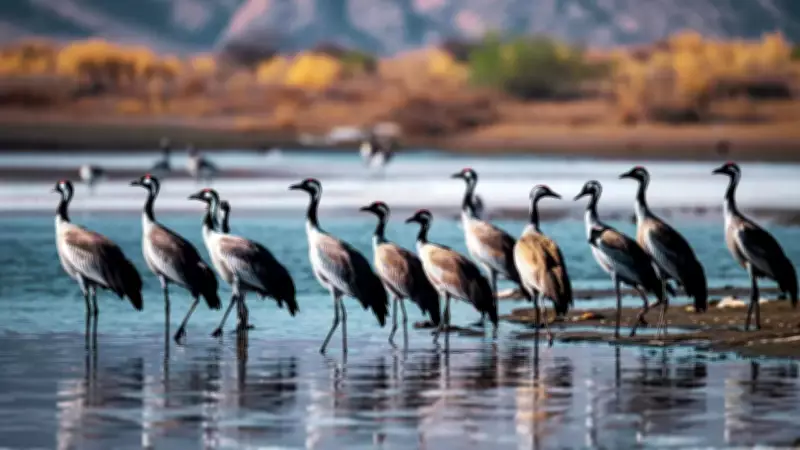 7 Unbelievable Bird Migrations Every Traveler Should Witness