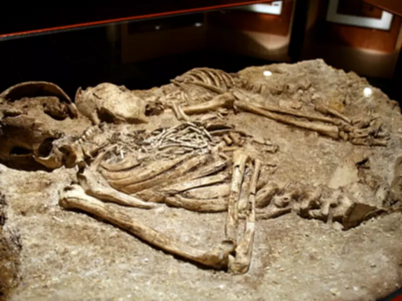 7,000-Year-Old Family Tree Reveals Neolithic Social Structure in France