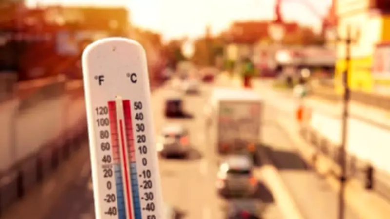 84% Indians Report Experiencing Global Warming: Survey Reveals Energy Views