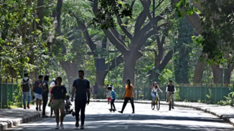A Home for Diversity: Embracing Pluralism in Modern India