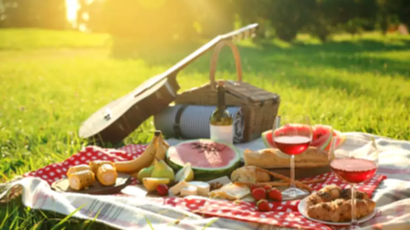 A Promise Made Over a Picnic: Family Discovers Connection