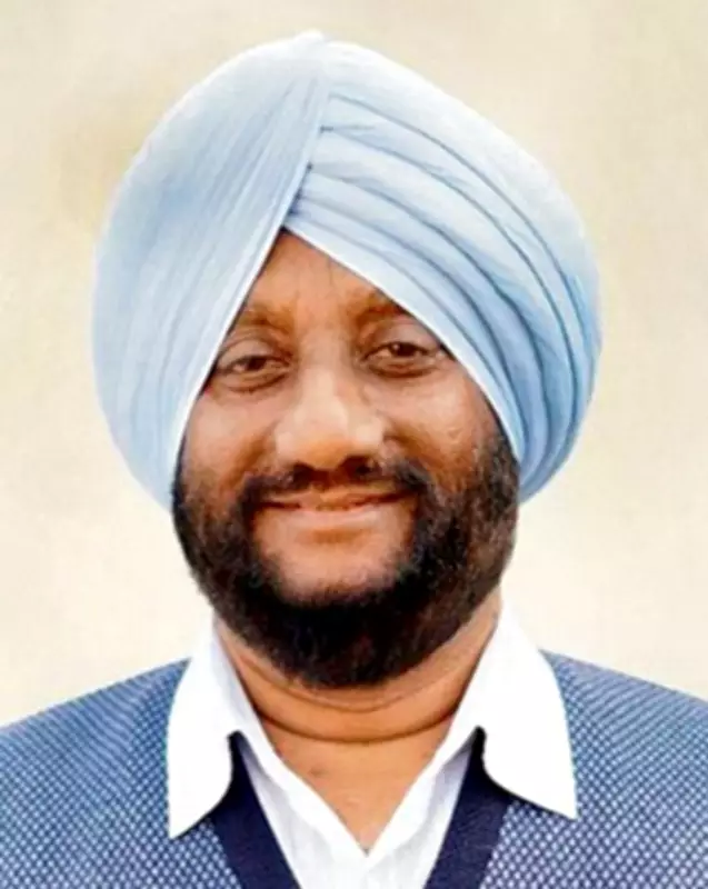 AAP Divided Over Mayor Post in Mohali; MLA Claims Independent Support
