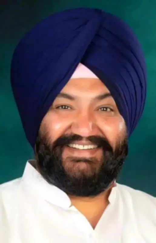 AAP Leader Gill Defends Mann, Slams Akal Takht Jathedar Over Video Controversy