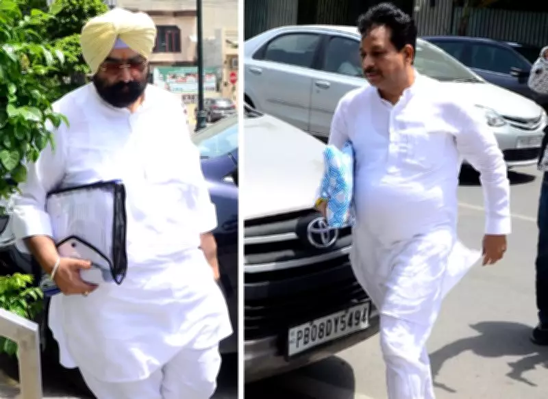 AAP MLA Raman Arora, Congress Leader Kikki Dhillon Appear Before ED Again