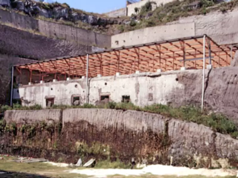 Accidental Discovery of Herculaneum Villa Reveals Ancient Library