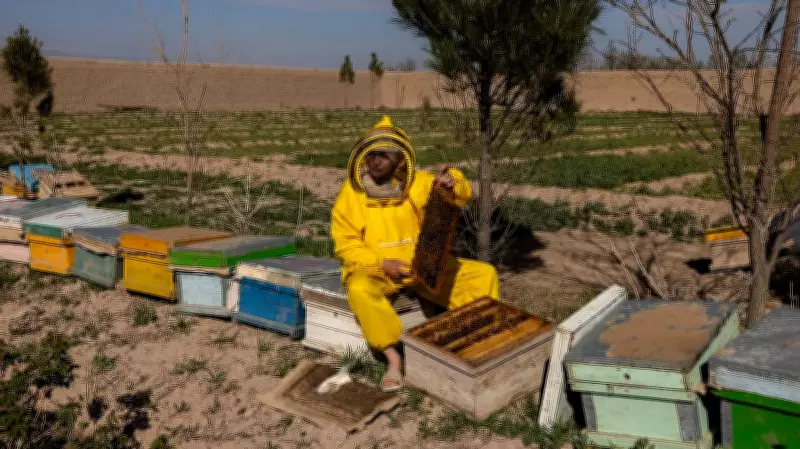 Afghan Women Turn to Entrepreneurship Amid Taliban Restrictions