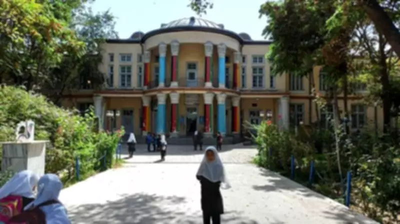 Afghanistan's Female Academics: What Happened After Taliban Takeover