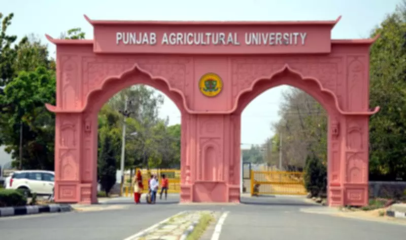 AI Course Begins at Punjab Agricultural University in Ludhiana