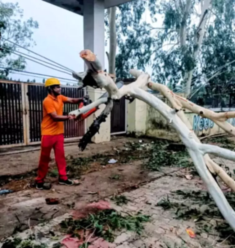 AI Image Gaffe, Power Delay, Minister's Fumble: Odisha's Blunders