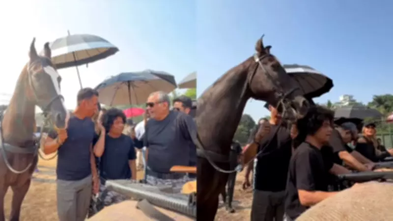 Akshay Kumar's Horse Pranks Rajpal Yadav on Welcome To The Jungle Set