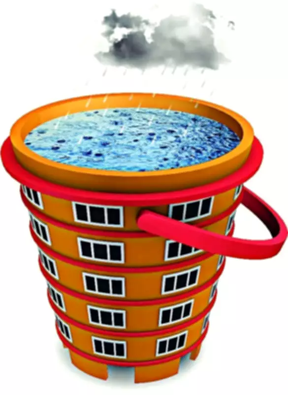 AMC Launches Rainwater Harvesting to Save 350 Million Litres Annually