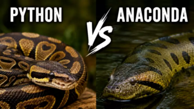 Anaconda vs Python: Key Differences in Size, Habitat, and Hunting