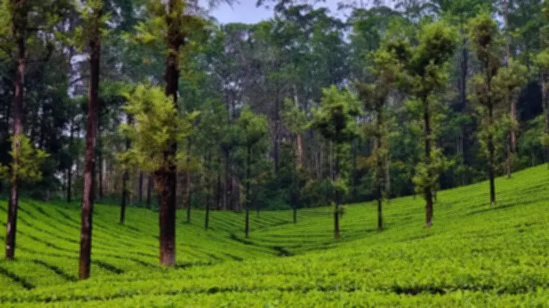 Anand Mahindra Highlights Valparai as Solution to Overtourism in India