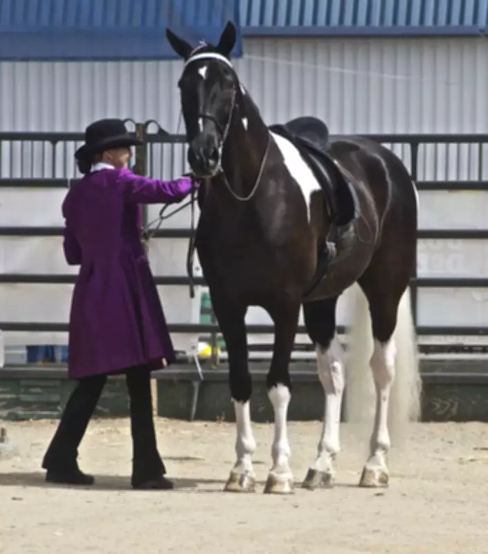 Ancient Leather Saddle Found in China Rewrites History of Horse Riding