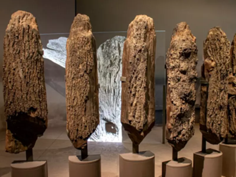 Ancient Seahenge Discovery: Bronze Age Timber Circle Emerges from Norfolk Sands