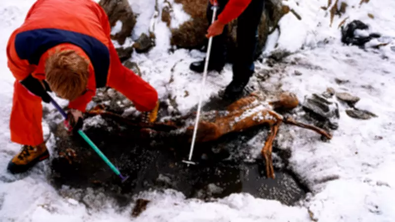 Ancient Yeast from 5,300-Year-Old Ötzi Mummy Used to Bake Sourdough Bread
