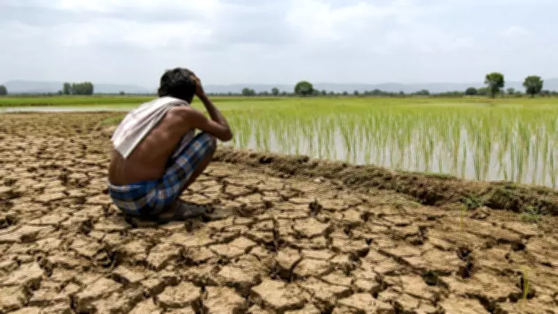 Andhra Farmers Save 12 Lakh Litres Water Per Acre with DSR Method