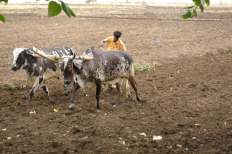 Andhra Pradesh to Release Rs 3,125 Crore Annadata Sukhibhava-PM Kisan Funds on March 1